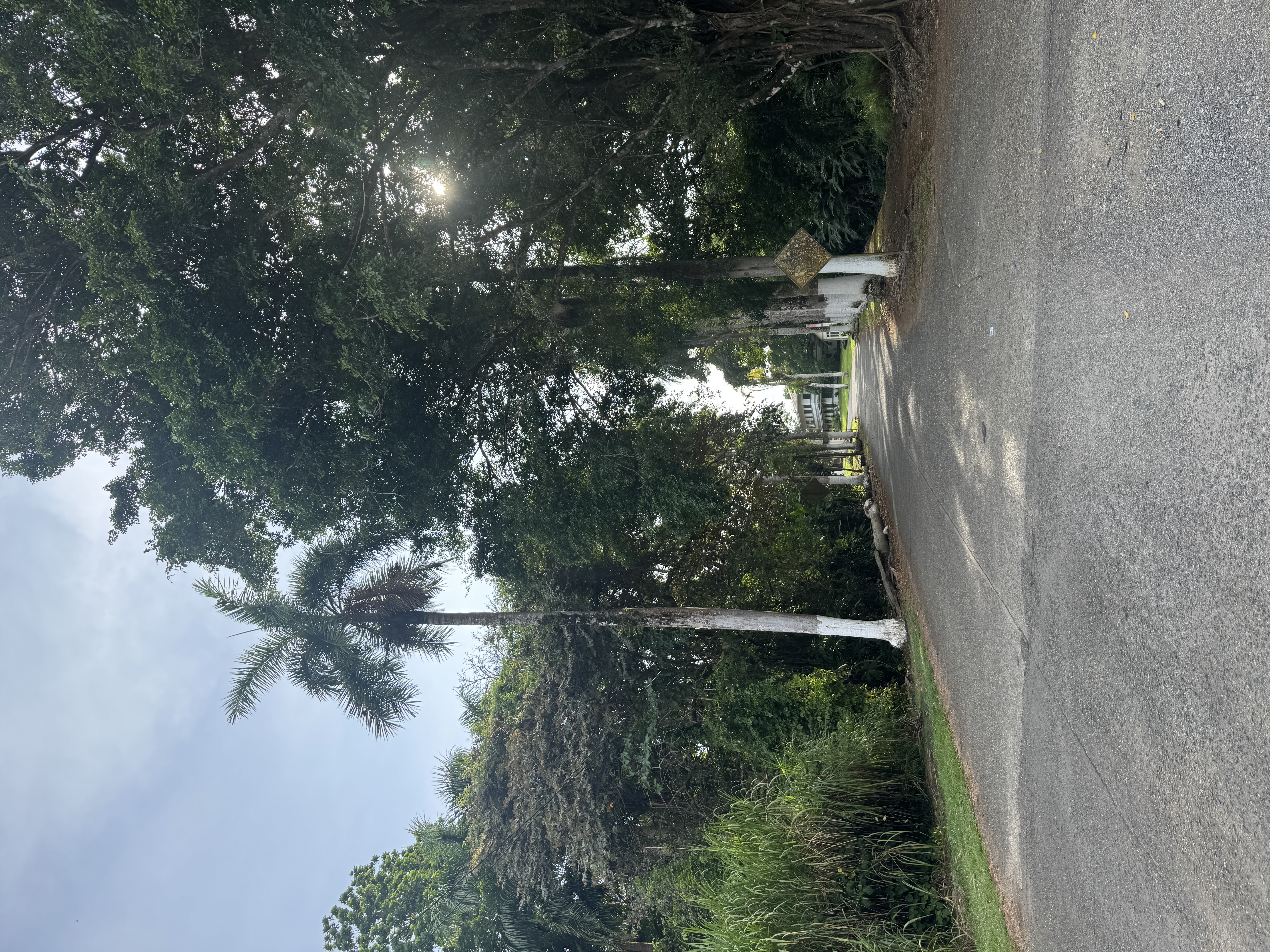 A bit of the Coco Solo residential area survives, and though getting to it means running an industrial gauntlet, the neighborhood itself, ca