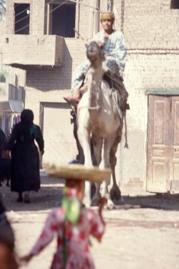 Motor vehicles were scarce.