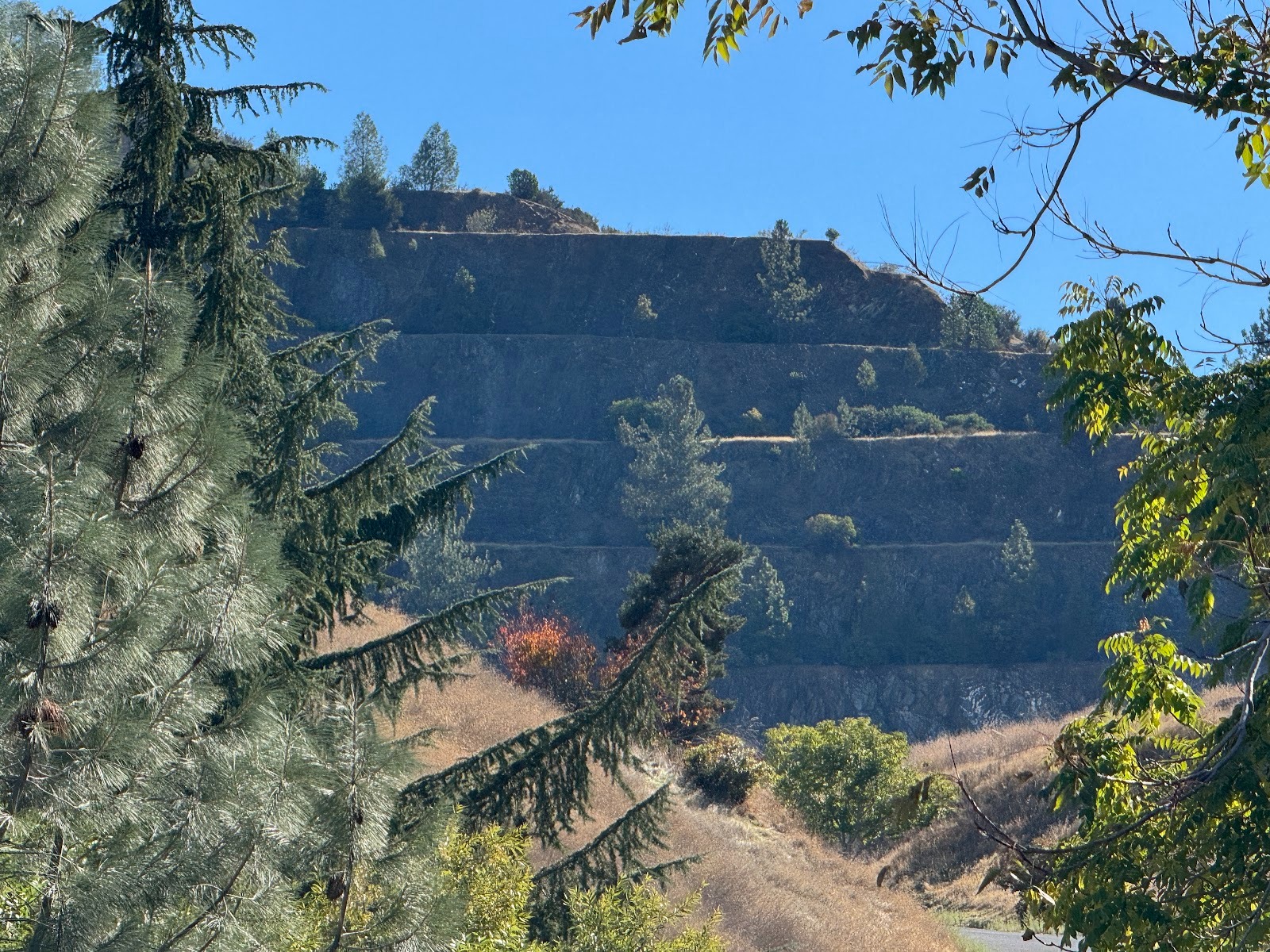 Over the north side of the hill, the Carson Hill Gold Mining Corporation ran an open-pit mine in the 1980s.