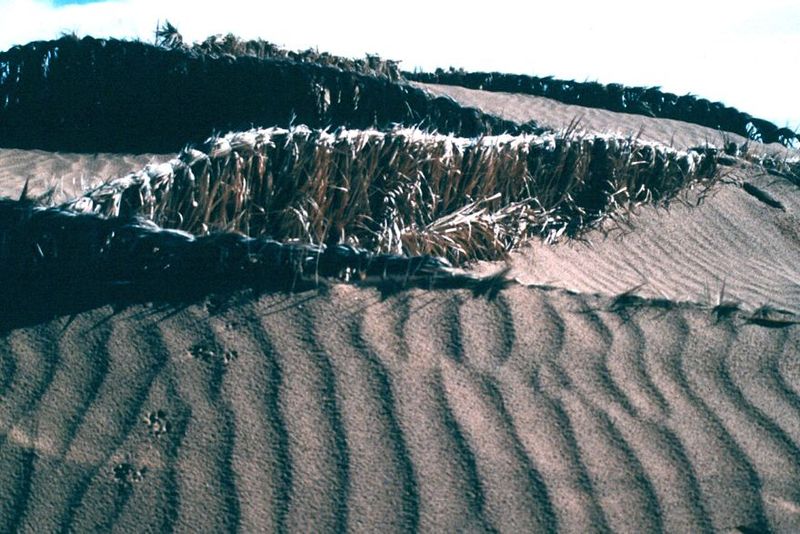 These quadrillage, to give the system its French name, is a sand catcher. It works for a while but is finally overwhelmed.