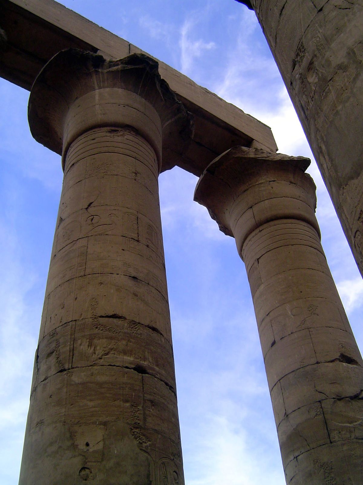The columns emulate papyrus reeds and—when originally roofed to form a dark room about 30 by 85 feet—evoked the papyrus swamp in which the E