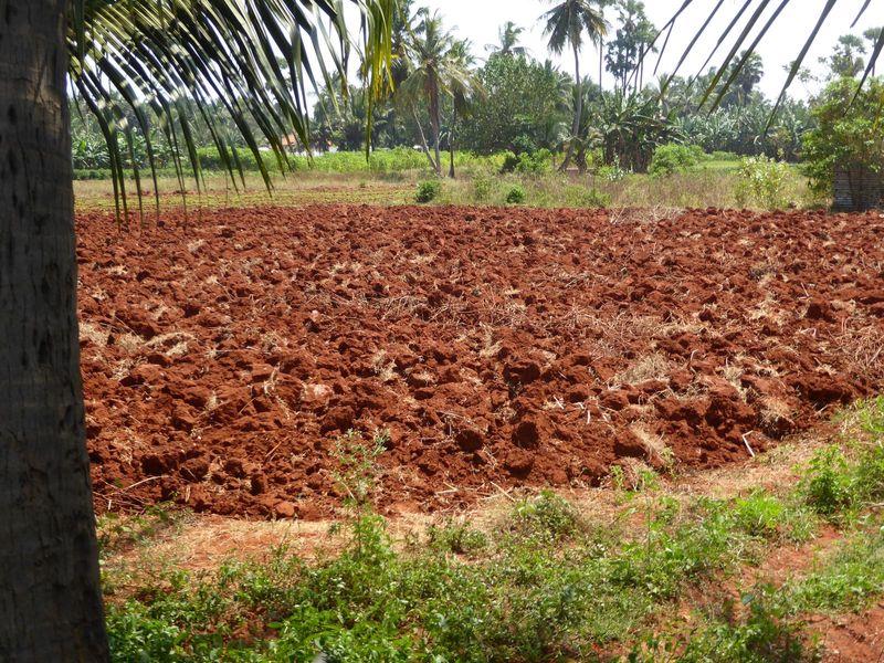 There's farmland all around here; we've ignored it so far.