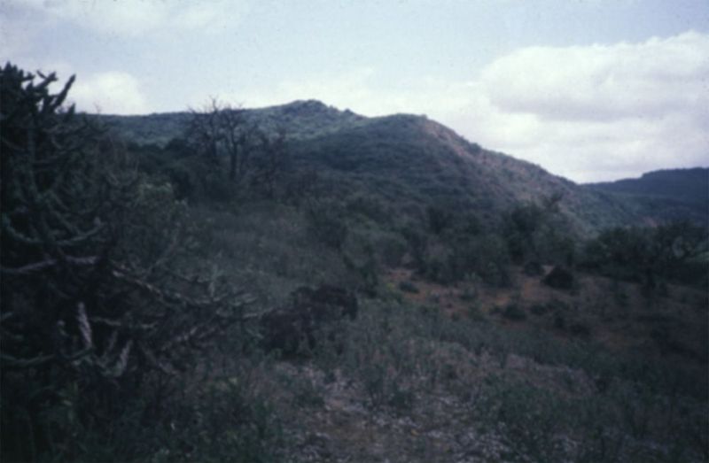 The trail from the Koyna Reservoir leads here, where the the west side of the mountains lies outside the forest reserve. The grassy summit i