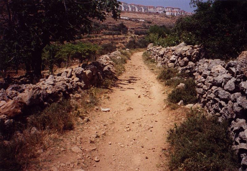 The settlements stand in stark juxtaposition to the surrounding Palestinian villages—and usually on strategic hilltops overlooking them. Her