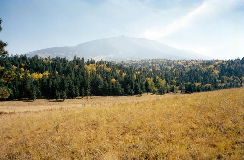 North out of Flagstaff, with San Francisco Peak in the background. This is national-forest land, stretching north to the Grand Canyon Nation