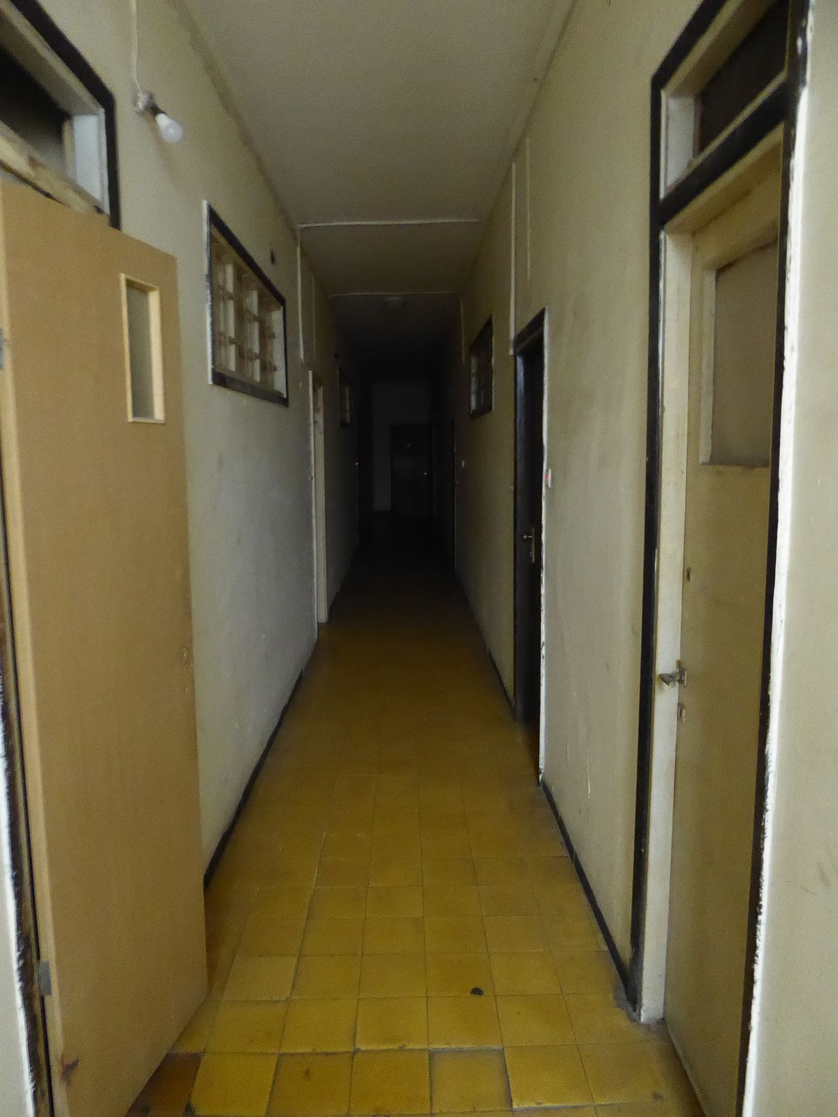 The lights are tripped by your presence, which means you're always thinking about them instead of possibly appreciating the mustard-yellow t