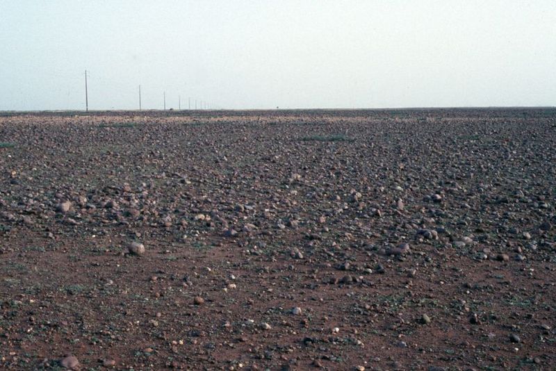 On the plains around Marrakech, more drastic remedies are called for. Fortunately, the plain is not as level as it looks and actually slopes