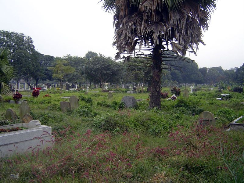 A breath of fresh air: the new Park Street Cemetery.