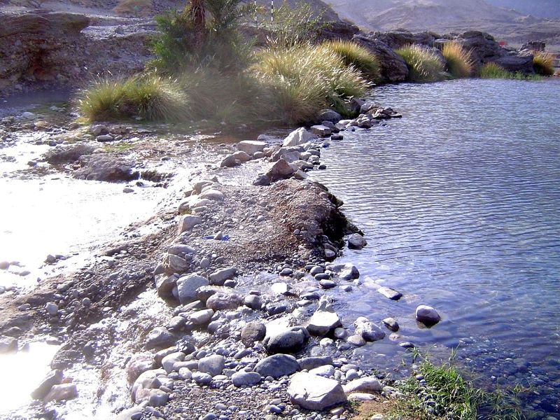 The weir blocks the stream but is leaky enough to allow some water to continue downstream.
