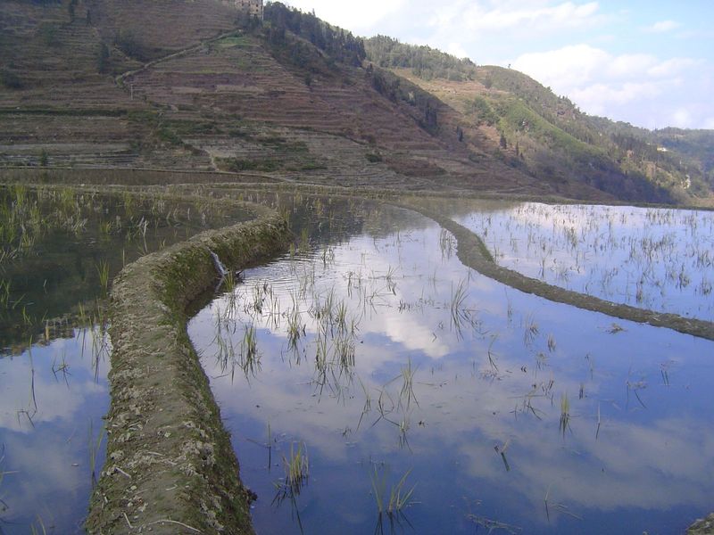 Here the distinction between dike and wall is hard to see, but there's a good view of water spilling over a yima. You got it: that's the cut