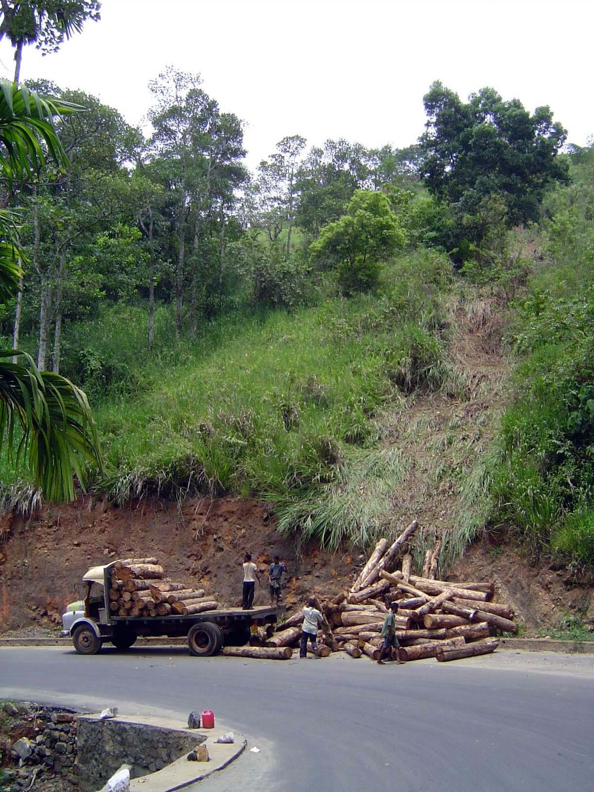 Barnes' road has been widened more than once. Here's a curve on a new section. What's going on with the logs? Road accident? Nope: these men