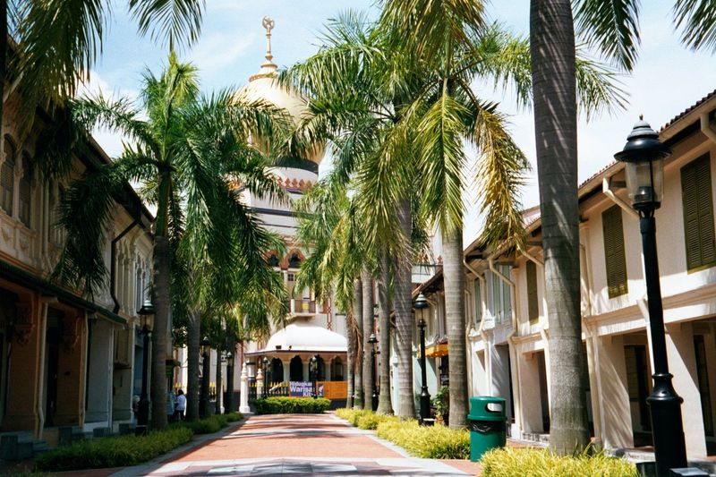 The fourth of the dominant ethnic groups: the dome of the Masjid Sultan hides behind the palm fronds on Bussorah Street, named for a local b