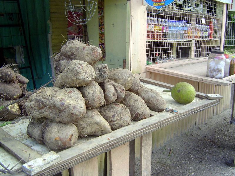 Serious yams, along with a solitary breadfruit.
