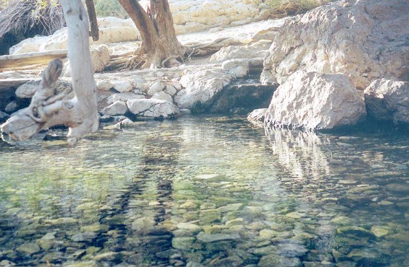 Unlike the stinging brine of the sea, there is fresh water at Ein Gedi. The spring has been capped and its water put to utilitarian uses, bu