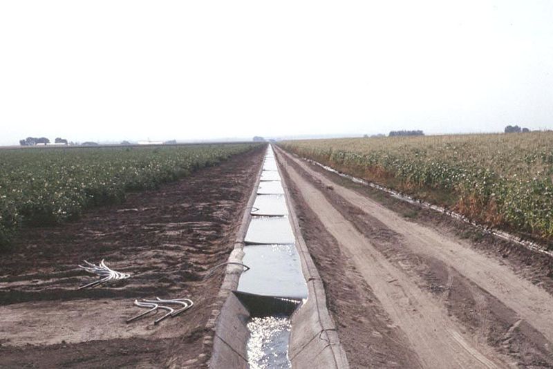 Plastic checks pond the water, which is drawn off in siphon pipes like those piled in the left foreground. This is furrow irrigation, and it