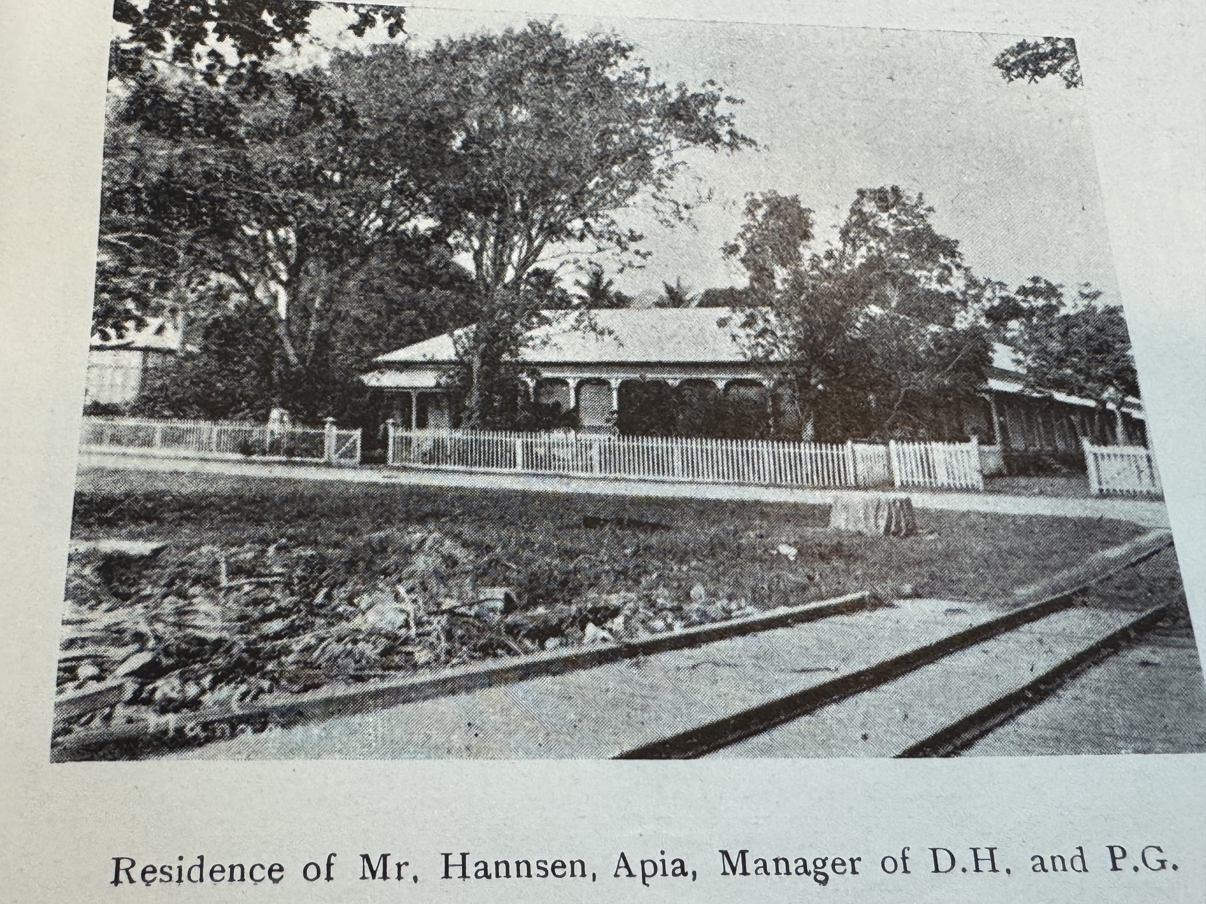 Not too bad, eh?  There are no railroads on the island today, but in Hanssen's time short lines supported the copra producers. Hanssen's nam