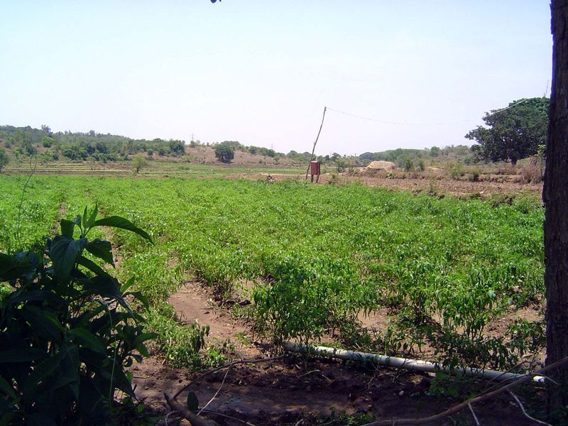 A power pole carries a wire driving a tubewell pump.