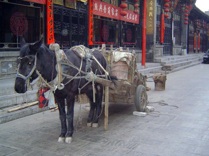 Sewage pickup.