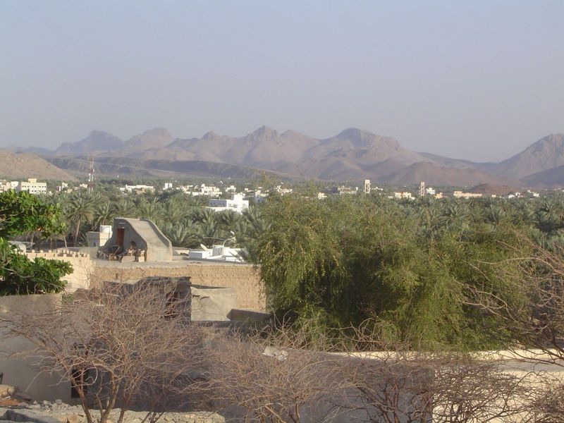 A view over the town's irrigated land; in the distance, new Hamra.
