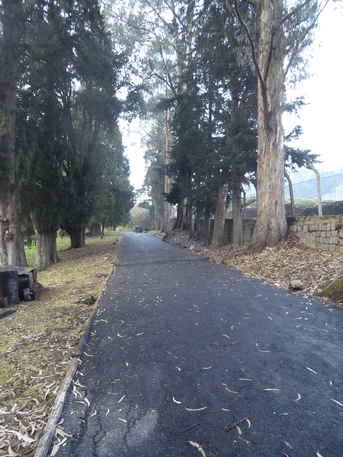 Speaking of hotels, here's the driveway to the Ooty Club, the very embodiment of Ootydom.