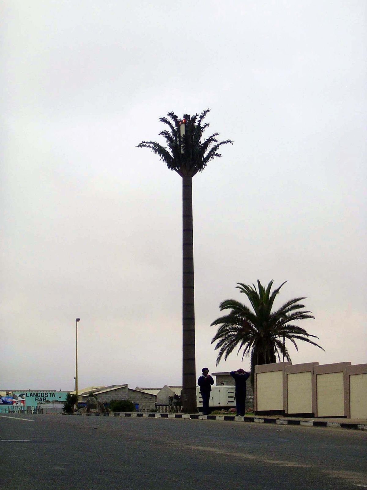 It's not such a perfect picture now. Not even with the palm tree. Palm tree? Not quite. Check the light up top.