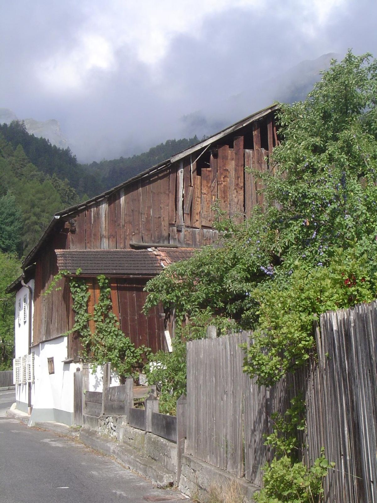 Put it all together: a barn with red currants, plums, and grapes.
