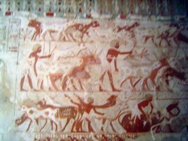 On a more factual note, cattle gambol at the top, are driven on the middle level, and are branded at the lower right.