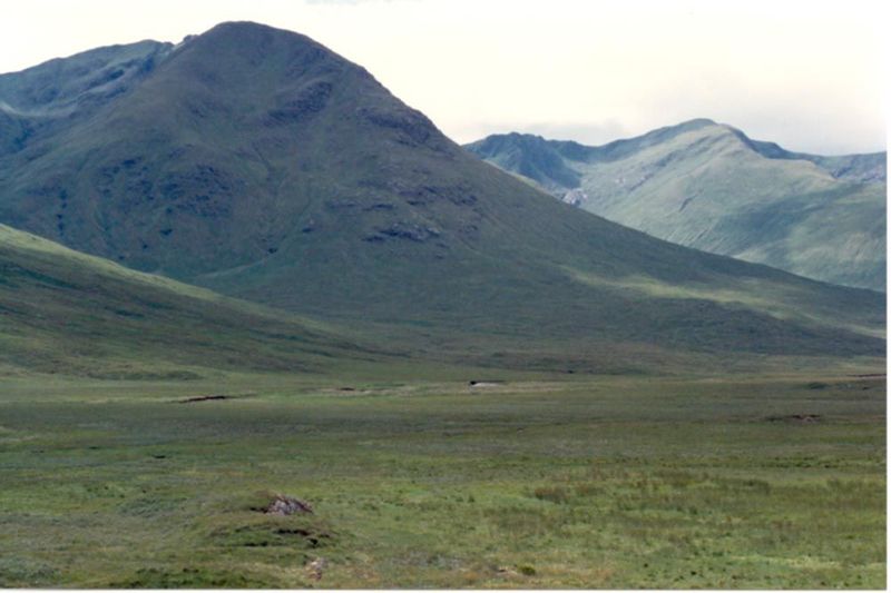 The forests have been gone so long that it's easy to see the bleak landscape as natural.