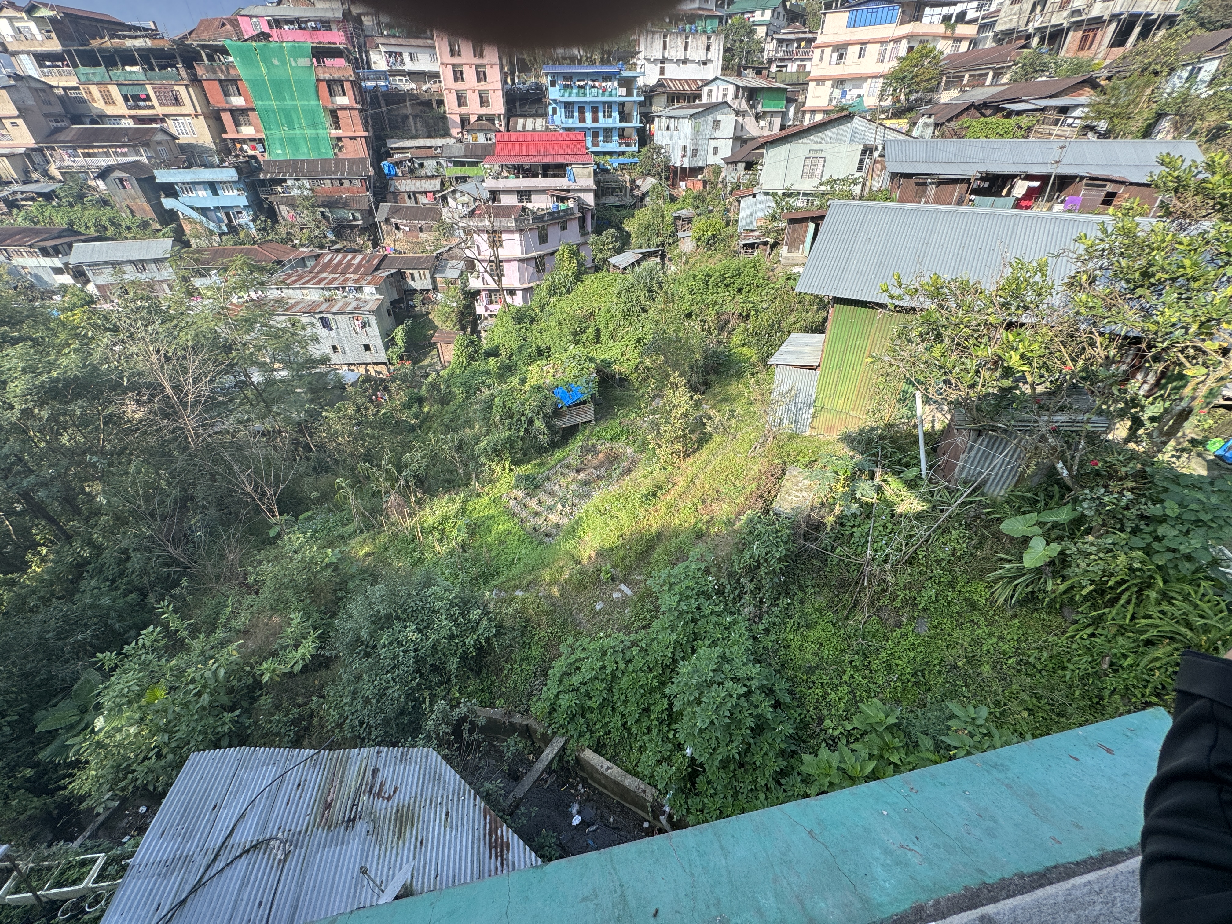 A bit of green space is put to agricultural use.