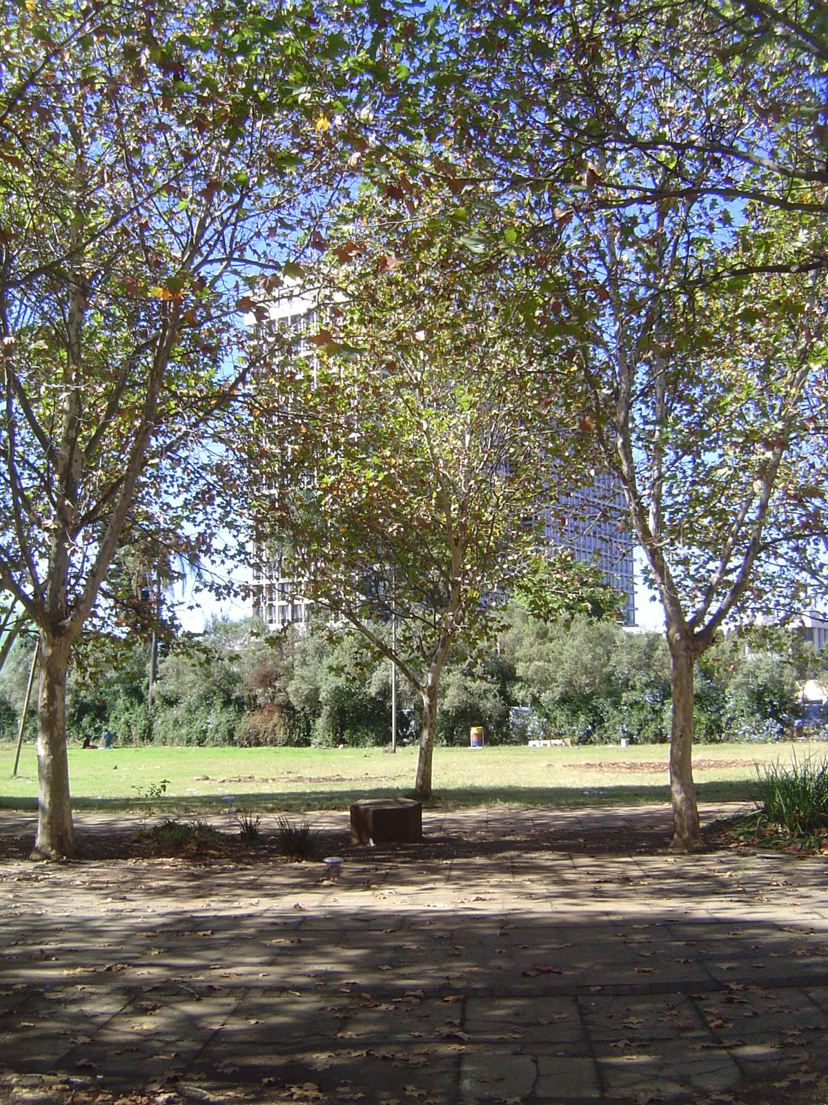 Across the street: the barren ground of Freedom Square.