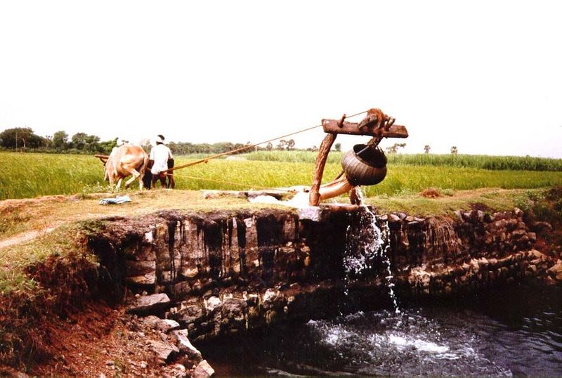 Upgrade Two: the kabalai. Once the bucket is raised, a tug on a thinner rope drops the tube or trunk, draining the bucket into an irrigation