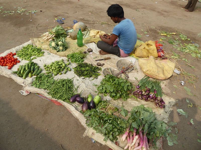 Nice vegetables, but not quite the extravagant setup of a big city market. Think the vendor has ever seen Calcutta's?