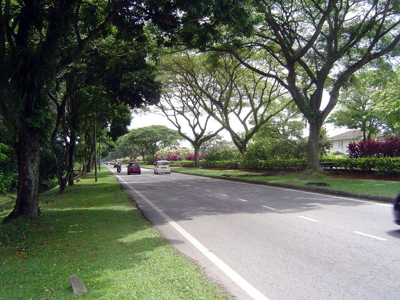 Avenue of approach. No sidewalks.