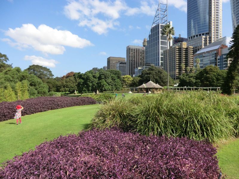 The gardens had been established much earlier, in 1816, by Governor Lachlen Macquarie, the fifth governor of New South Wales and the first w
