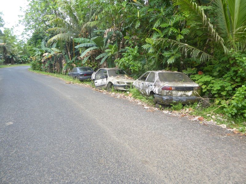 When cars break down on Pohnpei, they are often abandoned rather than fixed. Carcasses litter the main road around the island.