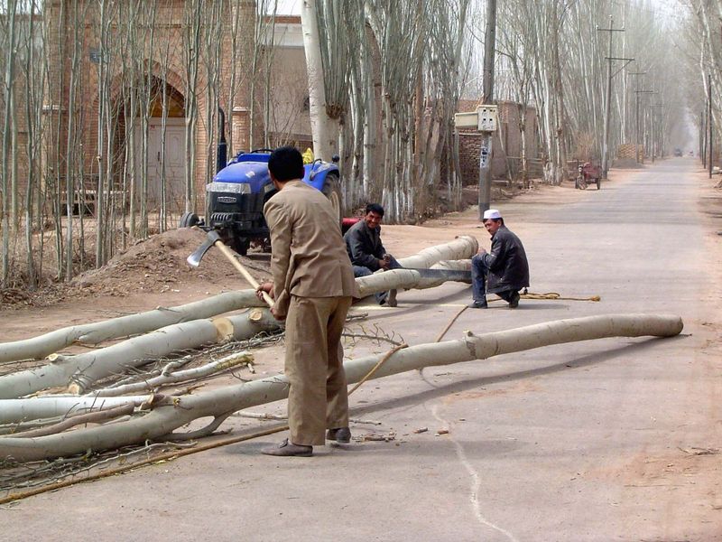 Remember those wood columns in the mosque?