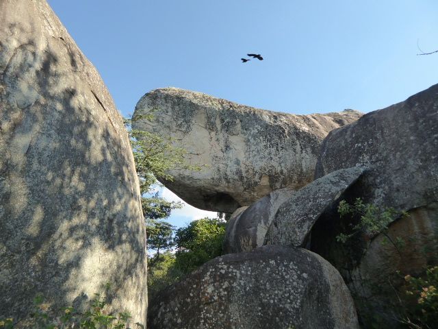 Crows will object.