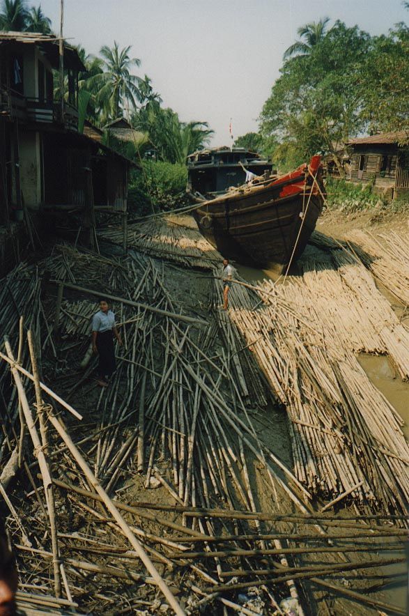 In addition to the passenger-ferry dock and another dock for heavy trucks, there are informal landing places where boats float in on the tid