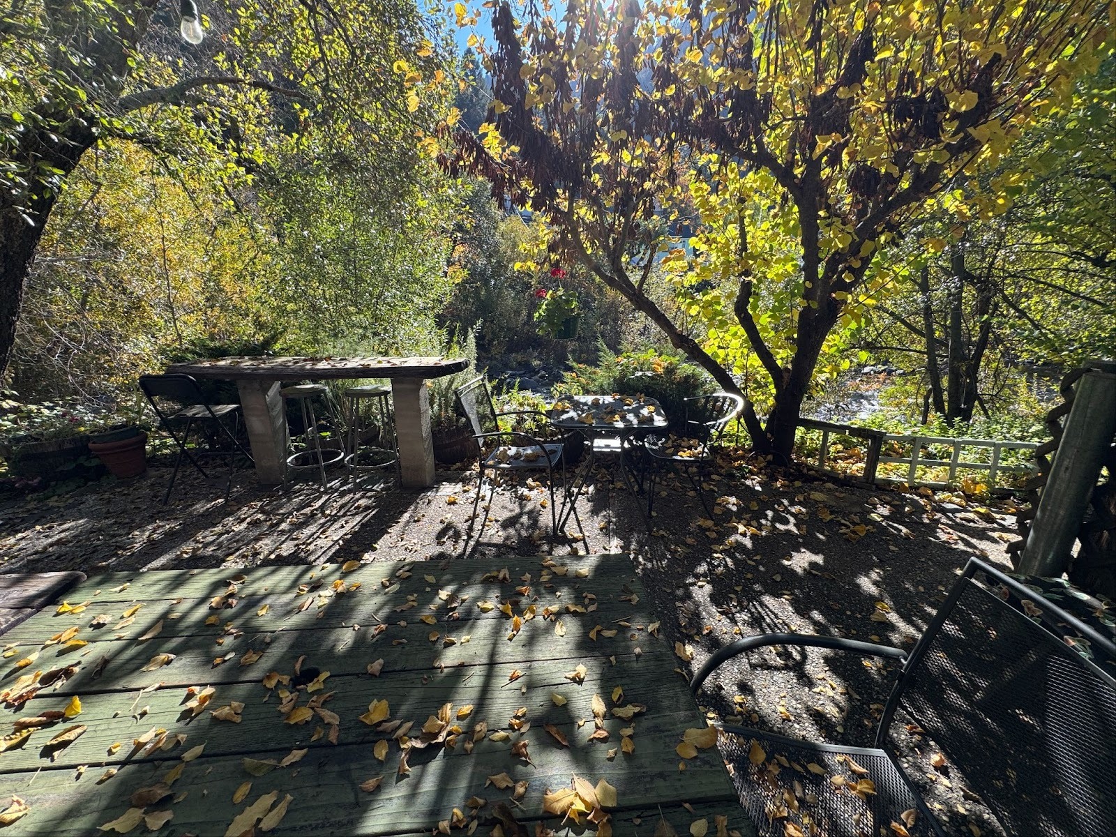 Look: a deck overlooking Downie Creek.