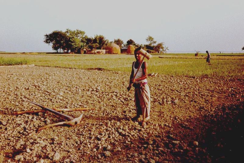 The same farmstead but now with a hint of the work that goes on season after season—in this case breaking clods with a wooden mallet. Tagore