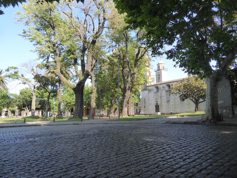 The church is the Iglesia Matriz Santisimo Sacramento. Call me a philistine, but it makes me recall Ronald Reagan's comment about redwoods.