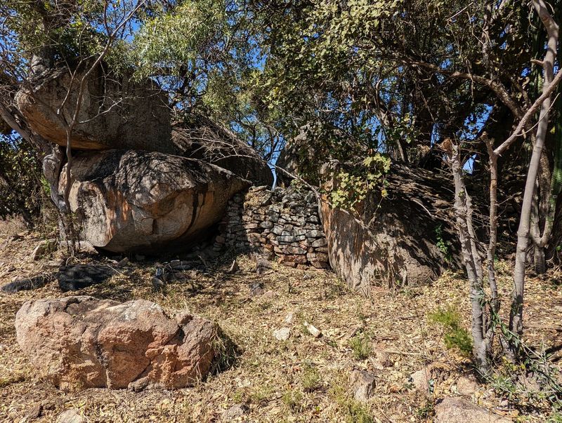 They surround a cluster of boulders between which a wall has been built.