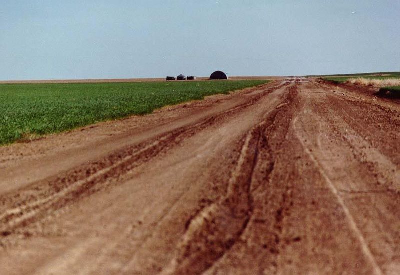 A winter wheat crop resumes its spring growth.
