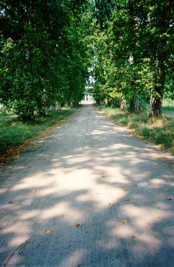 Approach to yet another estate.