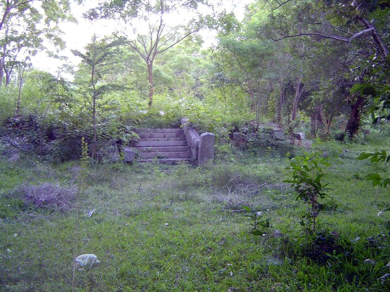There's plenty to do. Here, the ignored ruins of Puliyankulama, at the northeast corner of Anuradhapura.