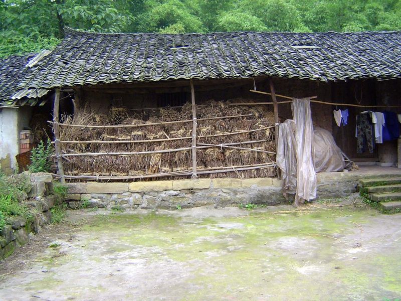 Every house has its fuel bundles.