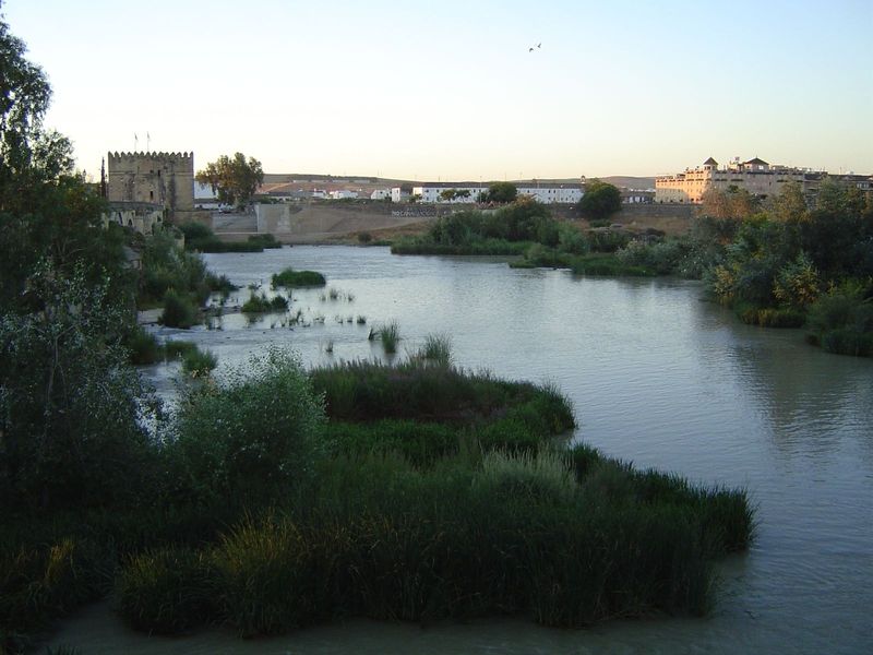 The name Guadalquivir is a corruption of the Arabic wadi al kebir, "big river." It's not so big now, because upstream dams and irrigation di