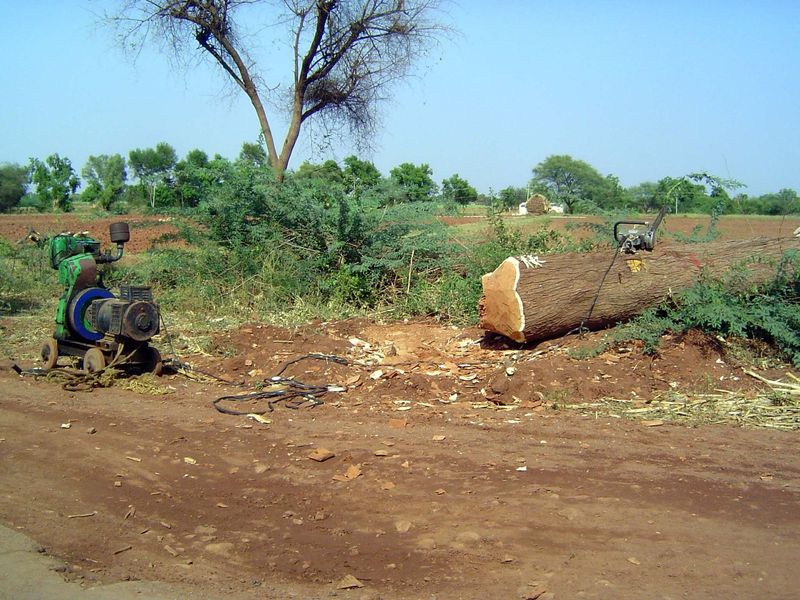 Instead of hand axes and saws the men had an electric chainsaw powered by a portable generator.