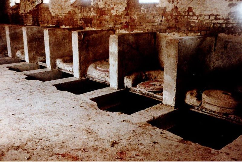 Indian or British? These grain mills, at a drop along the East Jumna Canal, are found in virtually the same design throughout northern India