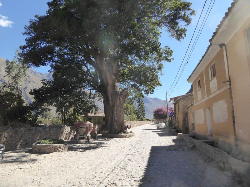 A ditch runs along one side of it.

The architect Graziano Gasparini writes that "the Incas were not city builders. With the exception of Cu